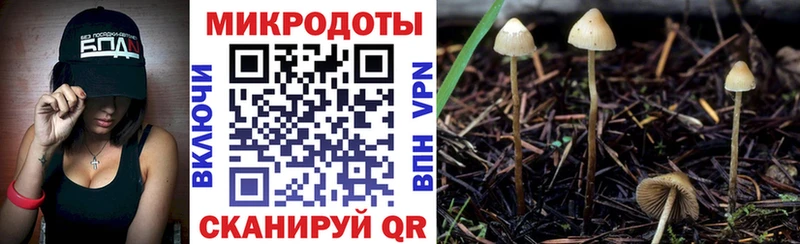 Псилоцибиновые грибы мухоморы  наркотики  Богданович 