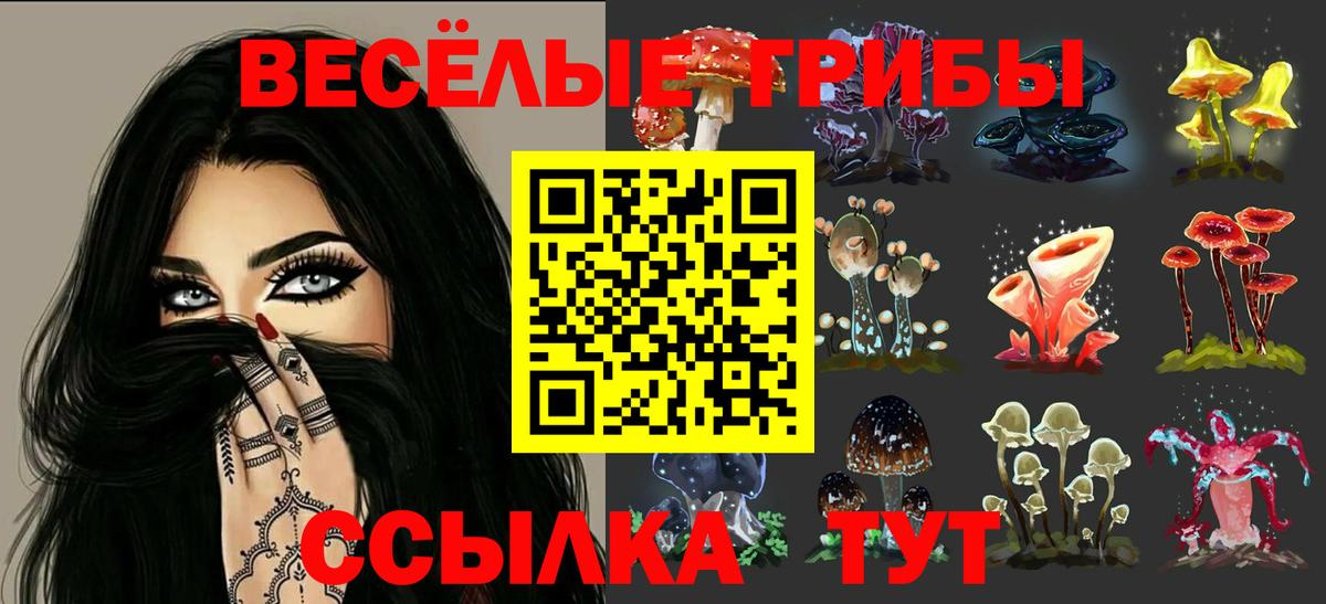 Богданович  Псилоцибиновые грибы Psilocybe  Вход с VPN 