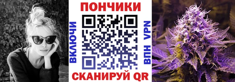 купить закладку  Богданович  Шишки марихуана SATIVA & INDICA 